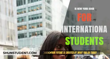 International Students: Why New York is a Great Choice