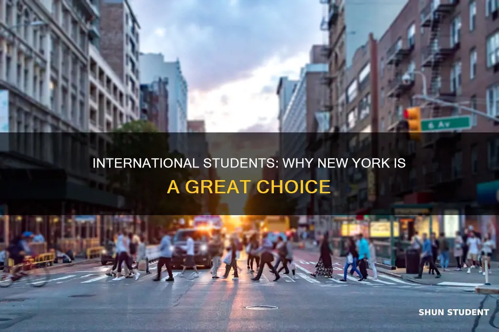 is new york good for international students