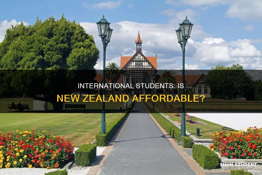 is new zealand affordable for international students