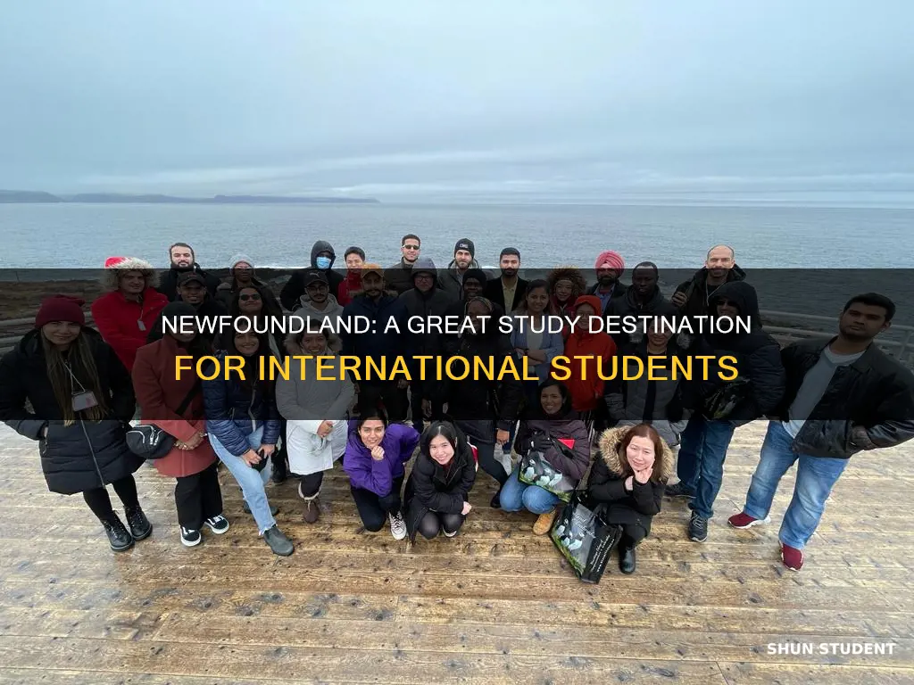 is newfoundland good for international students