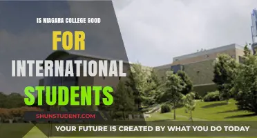 Niagara College: A Haven for International Students?