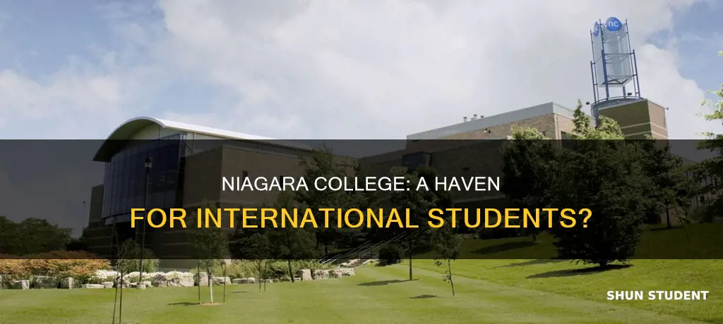 is niagara college good for international students
