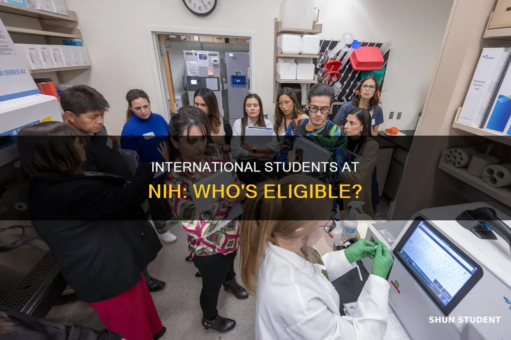 is nih open to international students