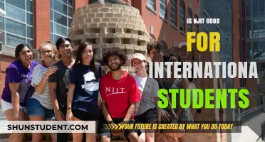 International Students: Is NJIT a Good Fit?