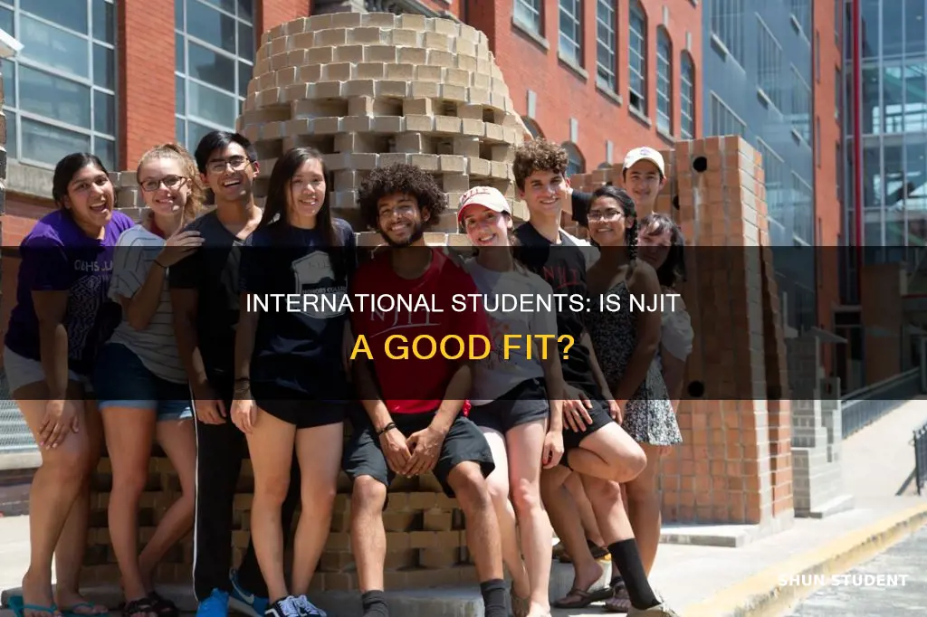 is njit good for international students