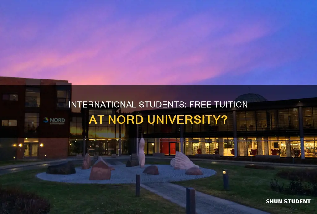 is nord university free for international students