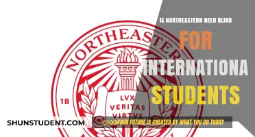 Need-Blind Admissions: Northeastern's Policy for International Students
