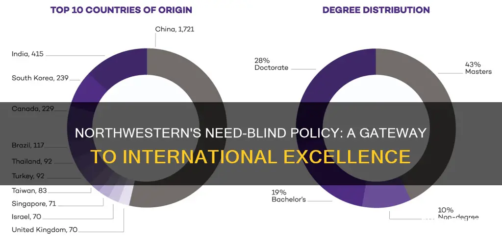 is northwestern university need blind for international students