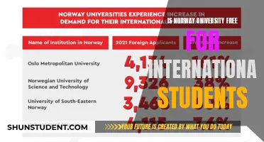 Unlocking Norway's Education: International Student Tuition and Benefits