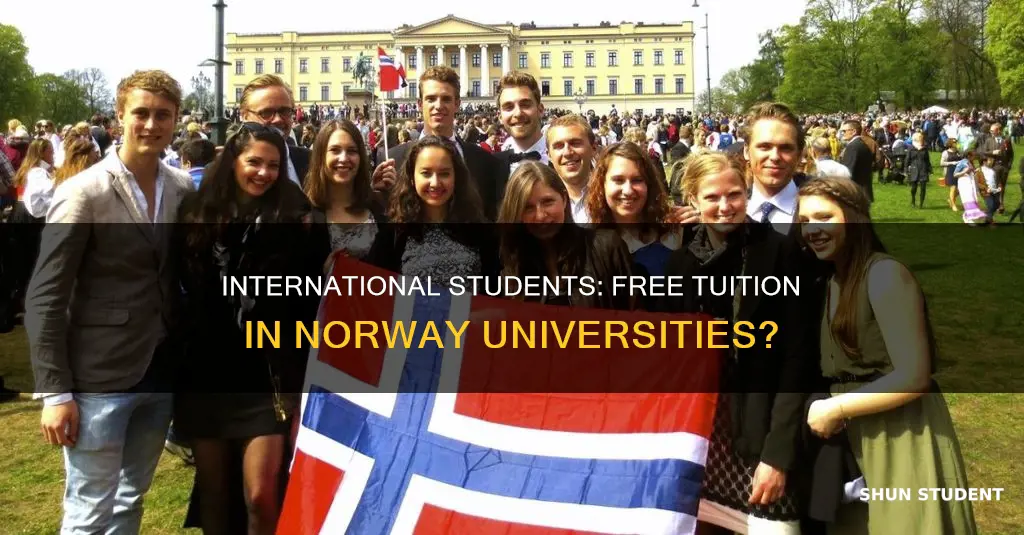 is norway university free for international students