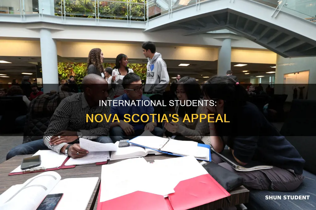 is nova scotia a good place for international students