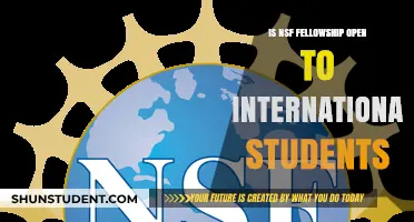 Fellowship Opportunities for International Students in the US