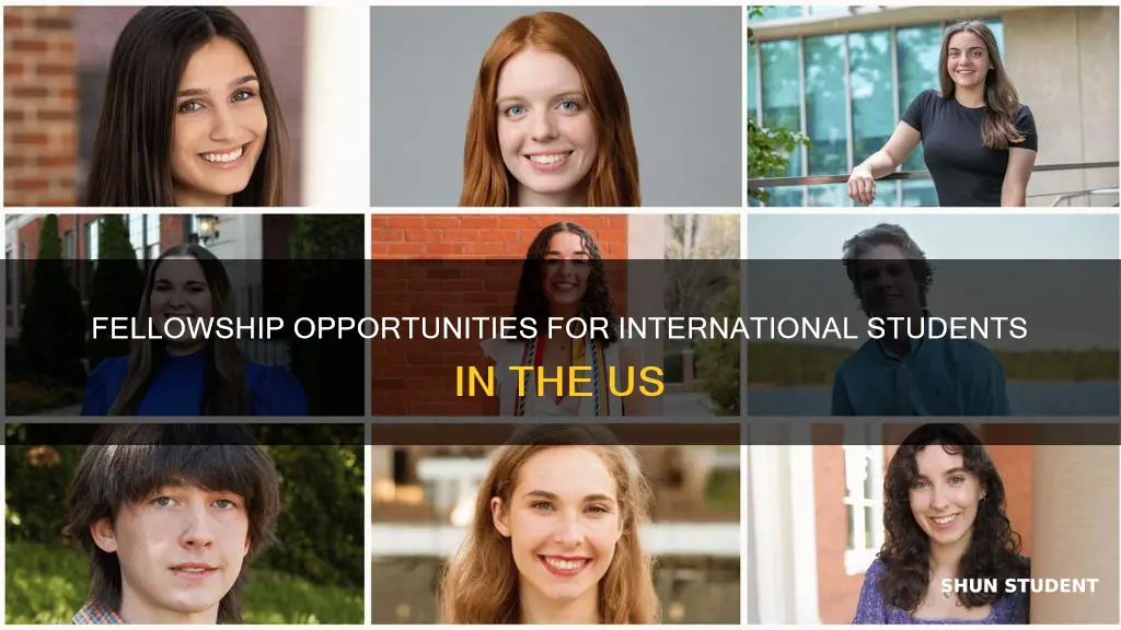 is nsf fellowship open to international students