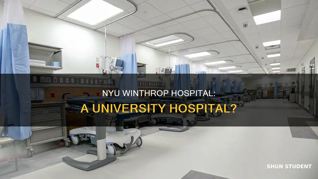 is nyu winthrop hospital a university hospital student doctor network