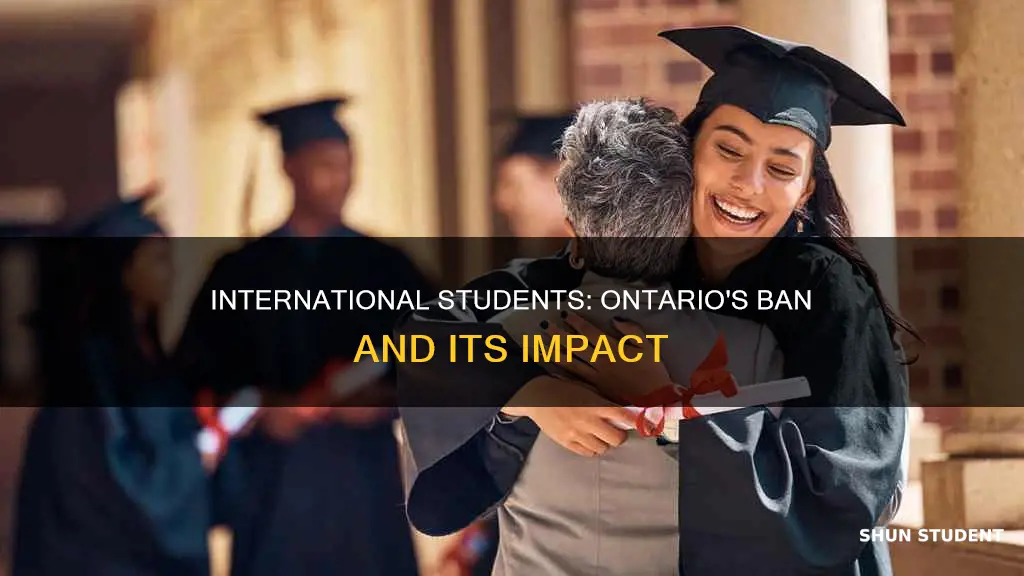 is ontario banning international students