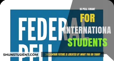 Pell Grant Eligibility: Are International Students Covered?