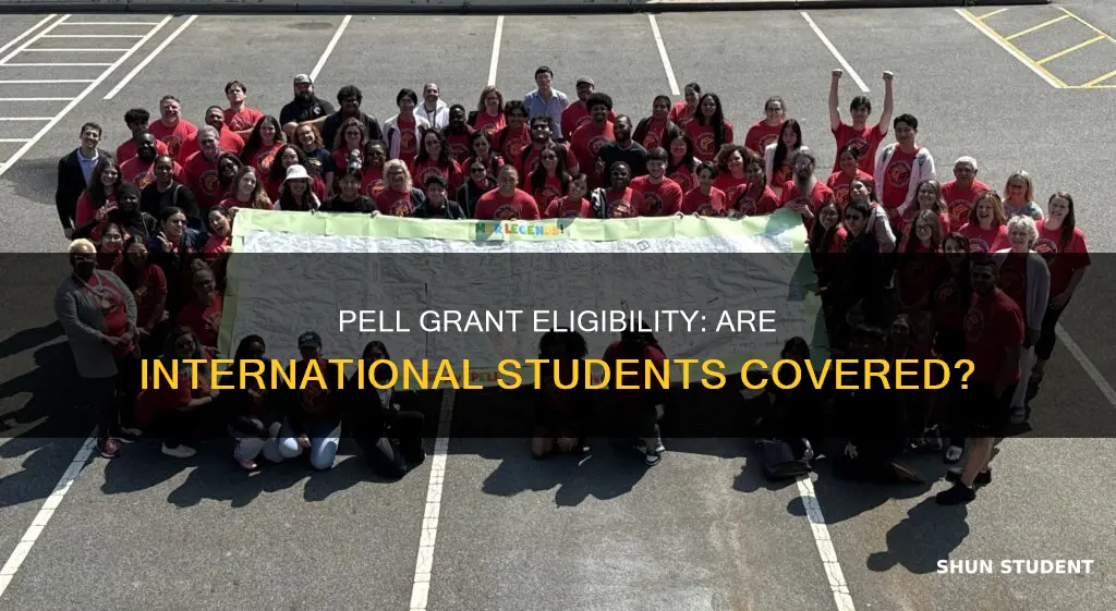 is pell grant for international students