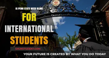 International Students: Penn State's Need-Blind Policy Explained