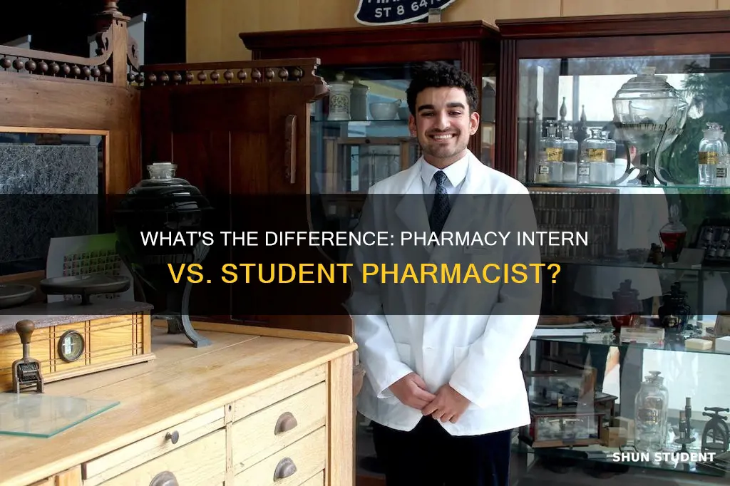 is pharmacy intern same as student pharmacist