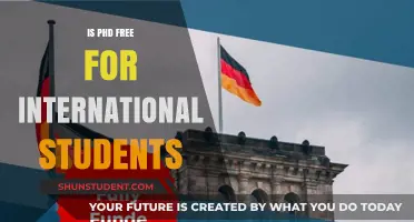 International PhD Students: Free Tuition or Not?