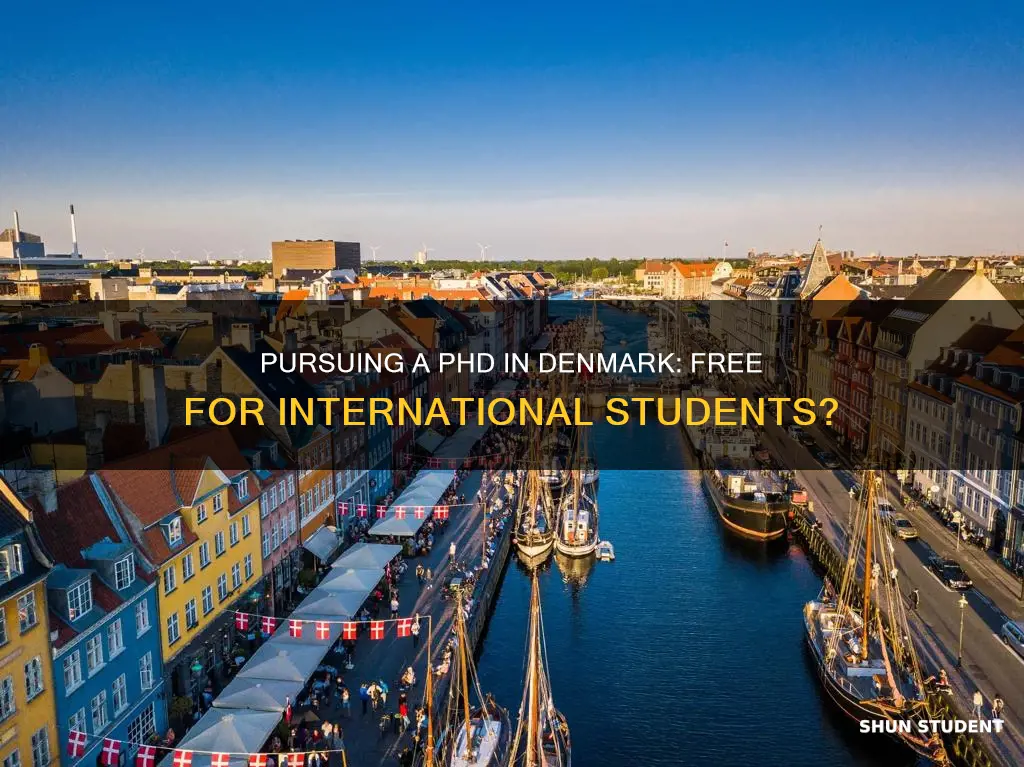 is phd free in denmark for international students