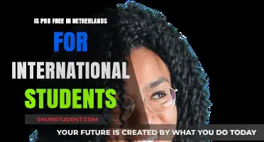 Pursuing a PhD in the Netherlands: Free for International Students?