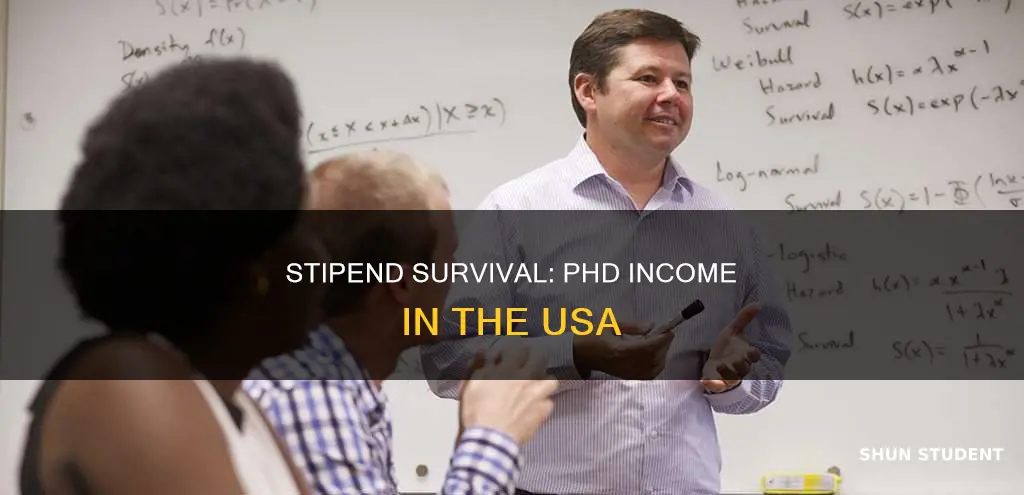 is phd stipend in usa enough to survivefor international student