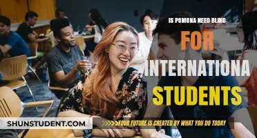 Pomona's Need-Blind Policy: Does It Include International Students?