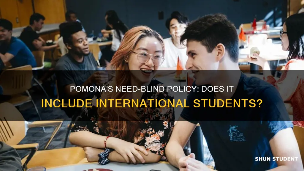 is pomona need blind for international students