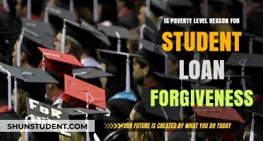 Poverty's Role in Student Loan Forgiveness: A Path to Equity?