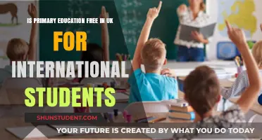 Primary Education in the UK: Free for International Students?