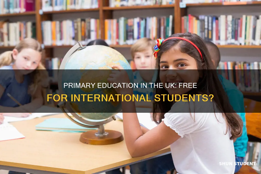 is primary education free in uk for international students