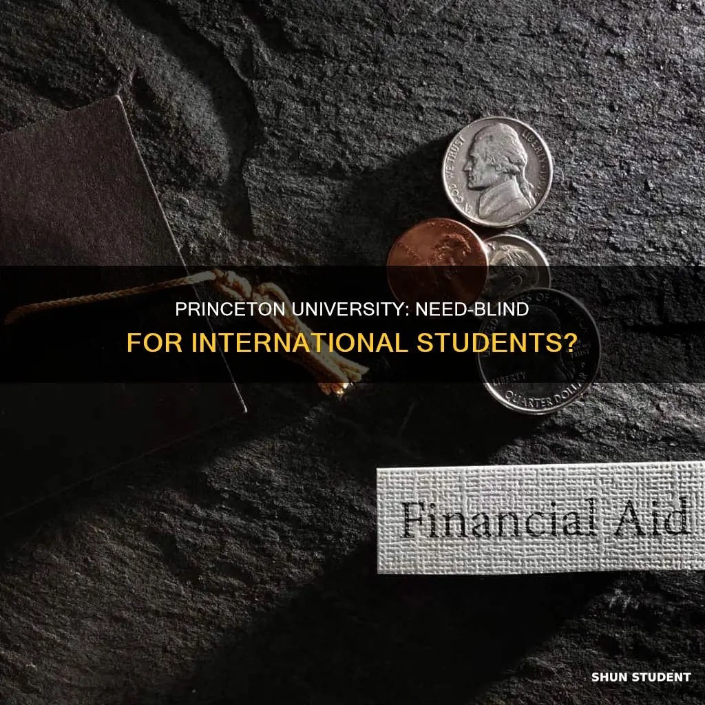is princeton need blind and need based for international students