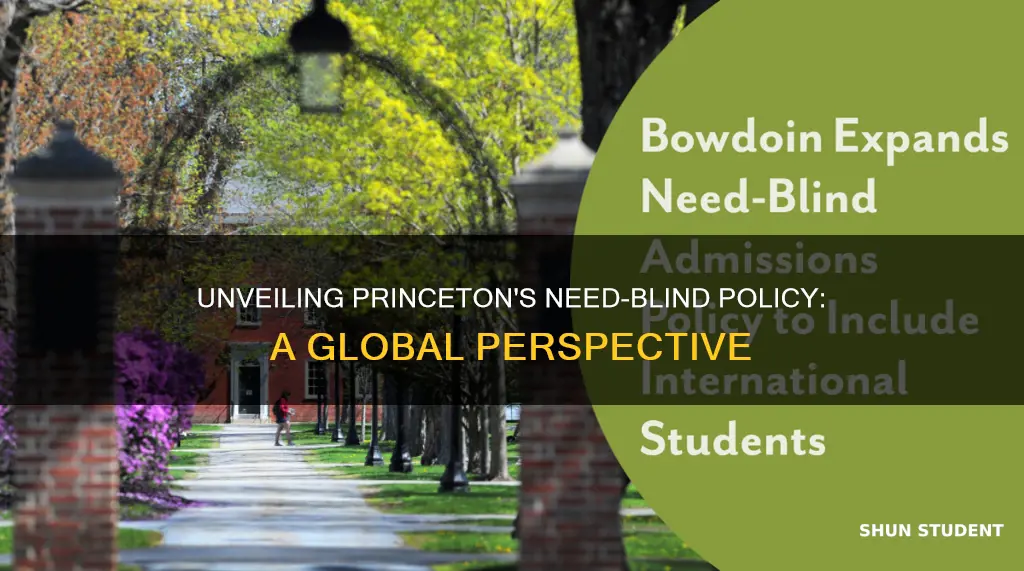 is princeton university need blind for international students