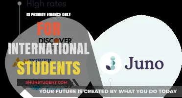 Prodigy Finance: For International Students Only?