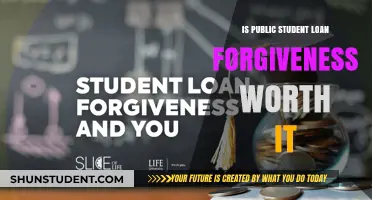 Is Public Student Loan Forgiveness Worth It? Pros, Cons, and Eligibility