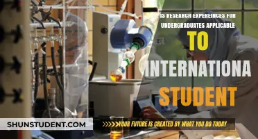 Research Experience for Undergraduates: International Student Opportunities