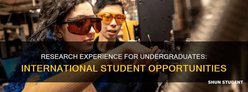 is research expereinces for undergraduates applicable to international student