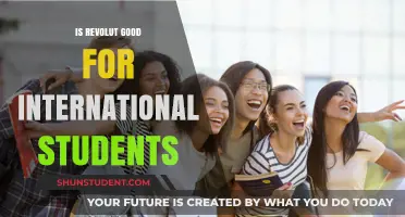 Revolut: A Smart Choice for International Students?