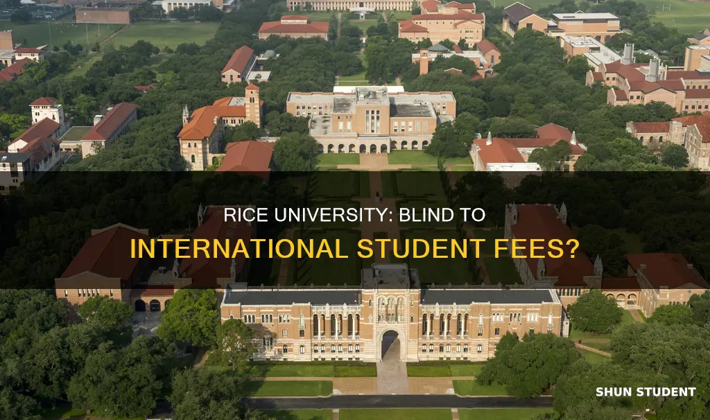 is rice need blind for international students