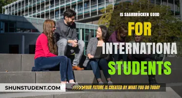 Saarbrücken: A Great Place for International Students?