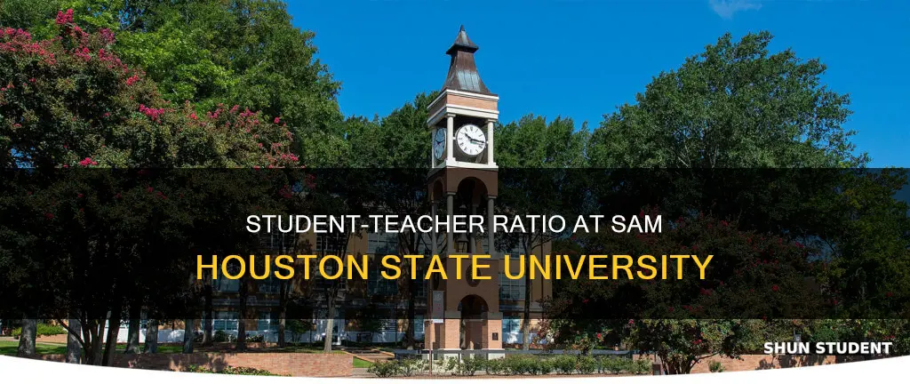 is sam houston state university student to teacher ratio