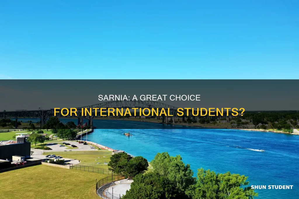 is sarnia good for international students