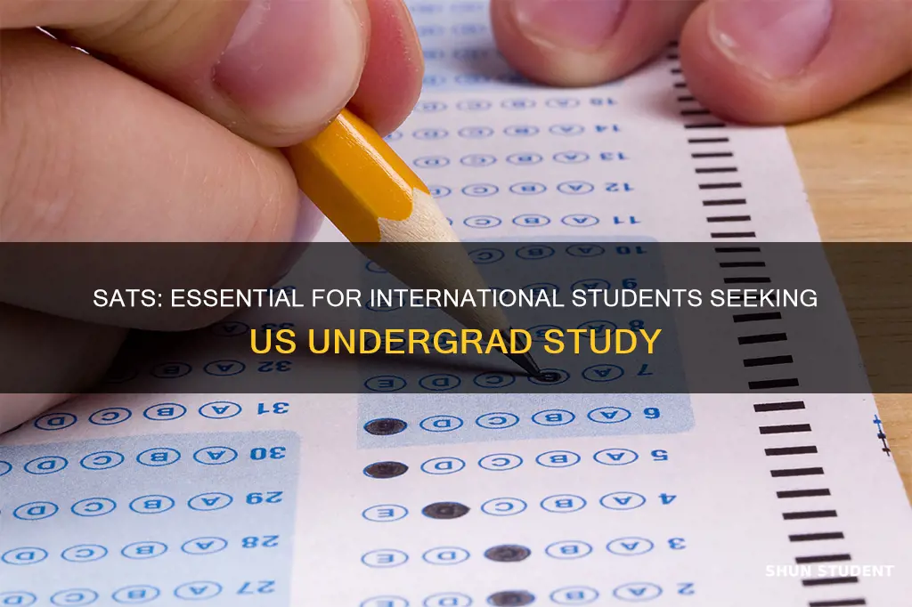 is sat a requirement for international undergraduate students usa