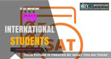 SAT Importance for International Students
