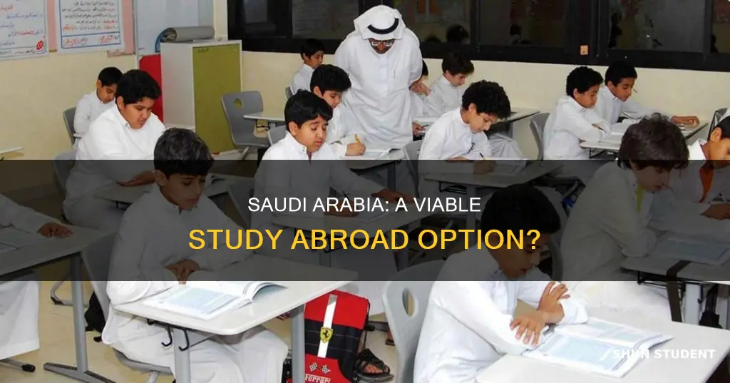 is saudi arabia good for international students