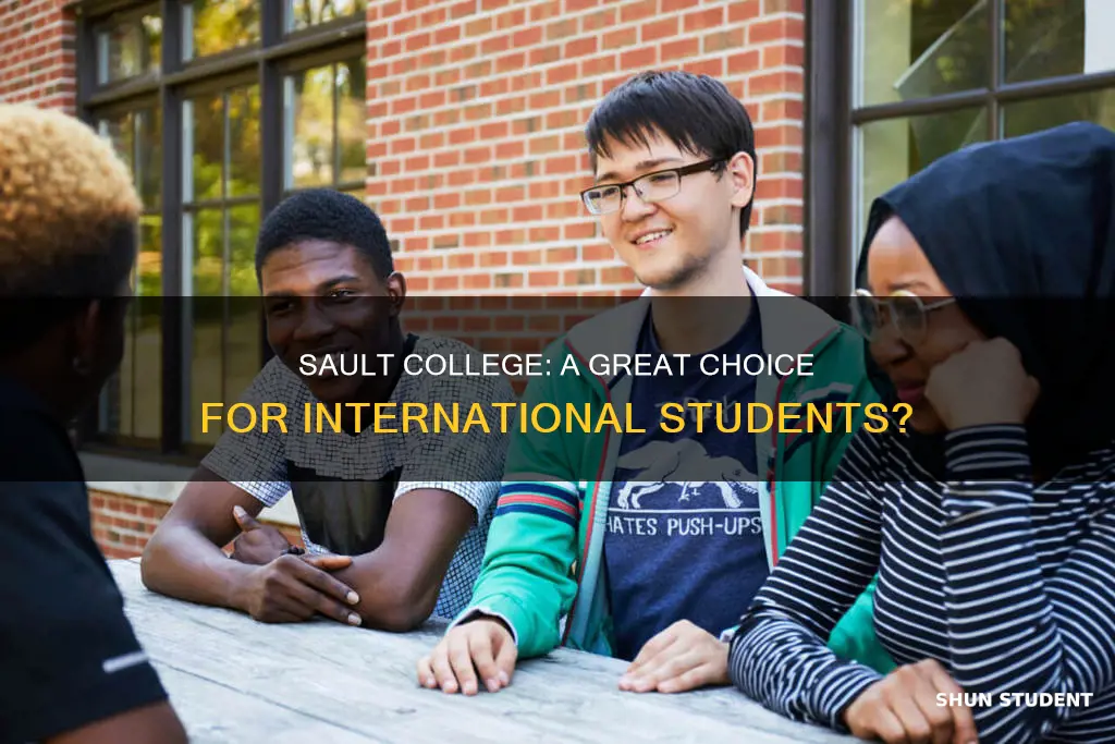 is sault college good for international students