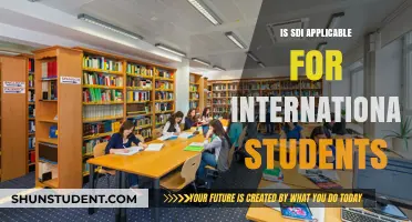 SDI Benefits for International Students: What You Need to Know