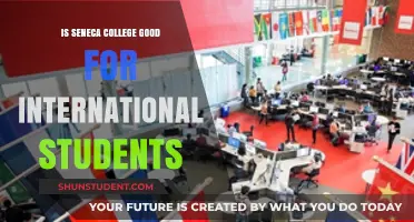 Seneca College: A Smart Choice for International Students?