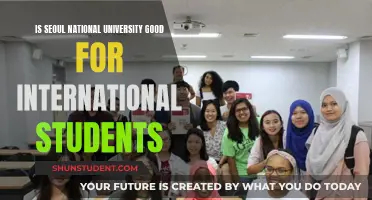 Seoul National University: A Global Student's Perspective